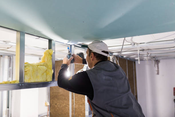 Best Spray Foam Insulation  in Cape Charles, VA